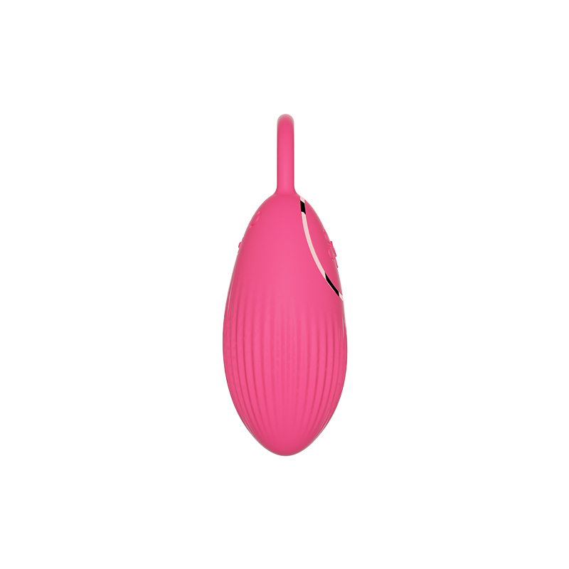 Vibrating Egg TD-3704