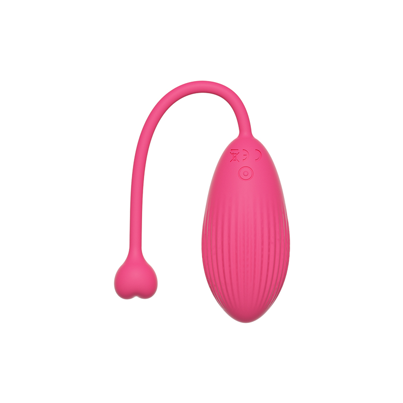 Vibrating Egg TD-3704