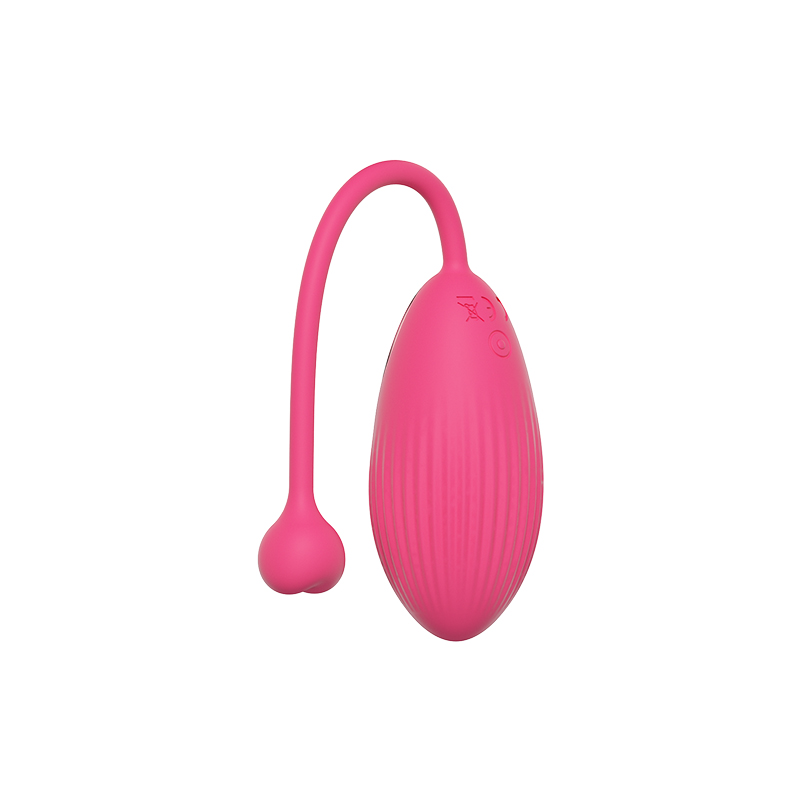 Vibrating Egg TD-3704